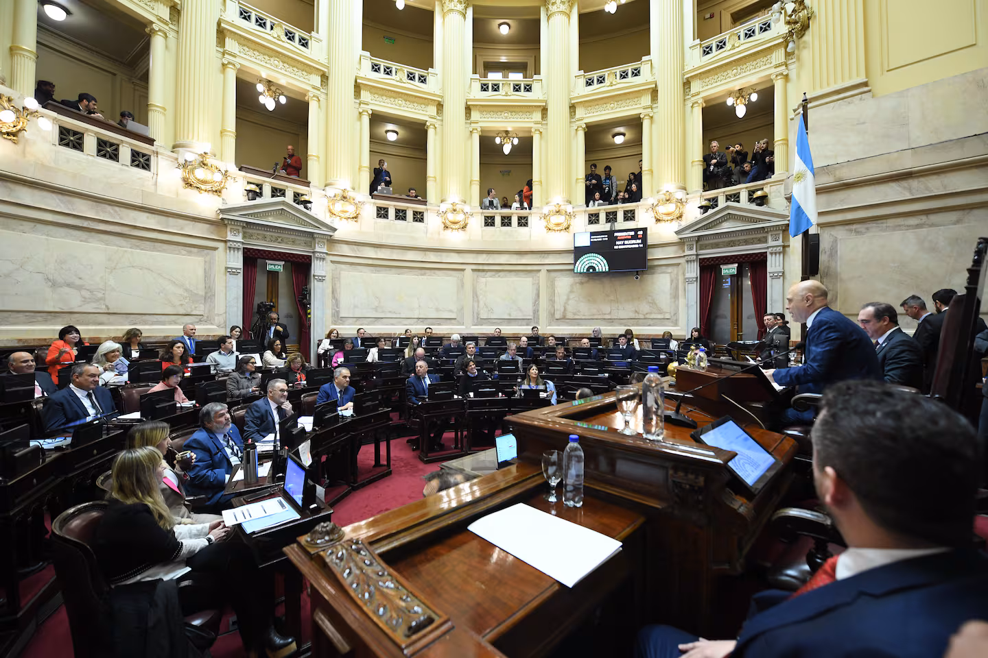 El Senado debate el veto a la Ley de Emergencia en Discapacidad